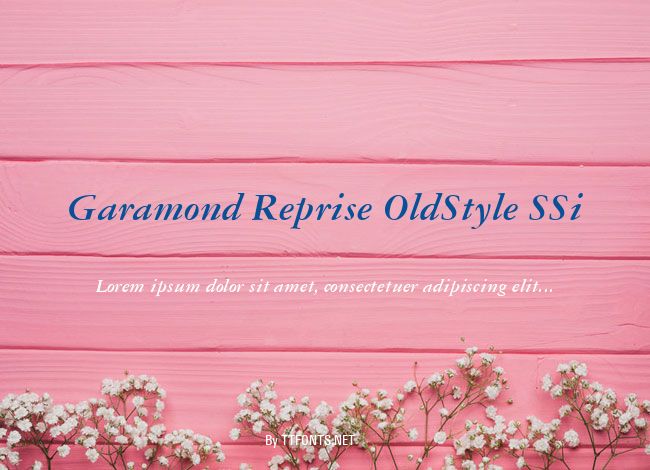 Garamond Reprise OldStyle SSi example